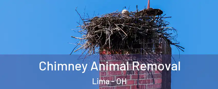 Chimney Animal Removal Lima - OH
