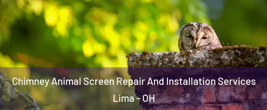  Chimney Animal Screen Repair And Installation Services Lima - OH