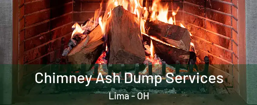  Chimney Ash Dump Services Lima - OH