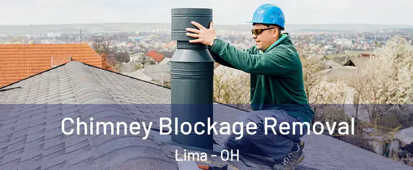  Chimney Blockage Removal Lima - OH