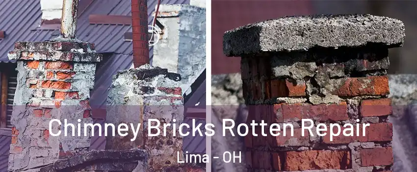  Chimney Bricks Rotten Repair Lima - OH
