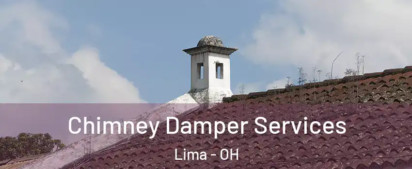  Chimney Damper Services Lima - OH