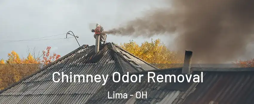  Chimney Odor Removal Lima - OH