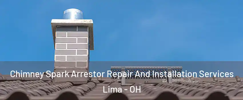 Chimney Spark Arrestor Repair And Installation Services Lima - OH