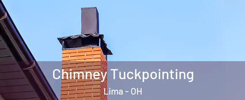  Chimney Tuckpointing Lima - OH