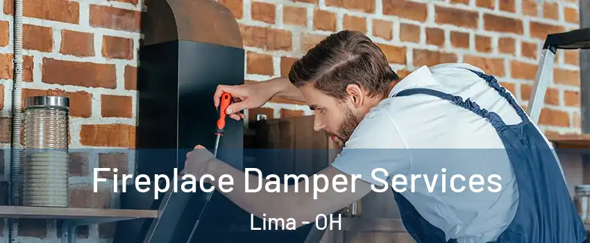  Fireplace Damper Services Lima - OH