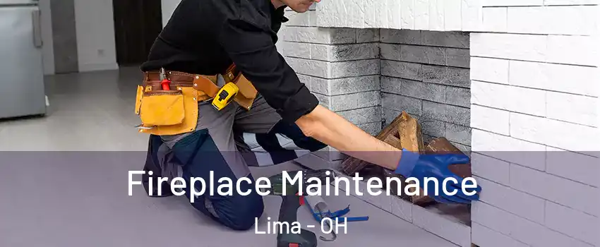  Fireplace Maintenance Lima - OH