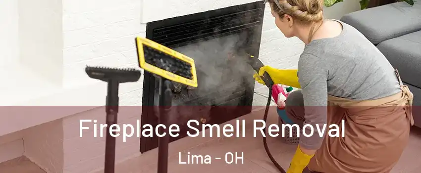  Fireplace Smell Removal Lima - OH