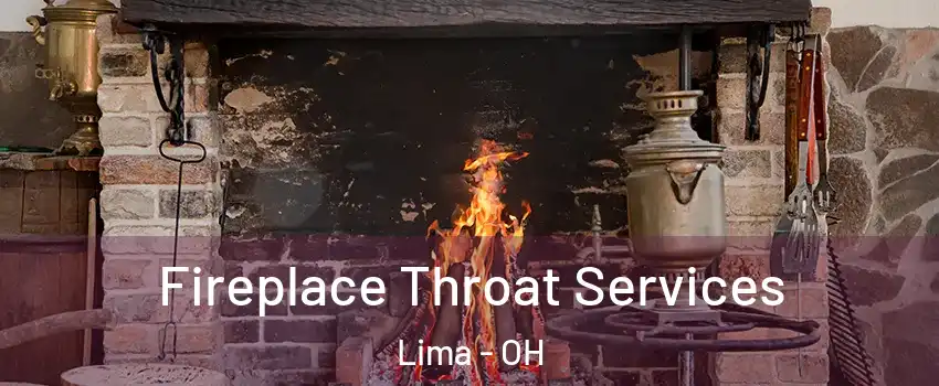  Fireplace Throat Services Lima - OH