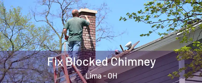  Fix Blocked Chimney Lima - OH