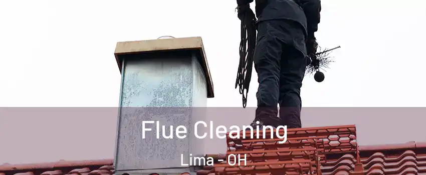  Flue Cleaning Lima - OH