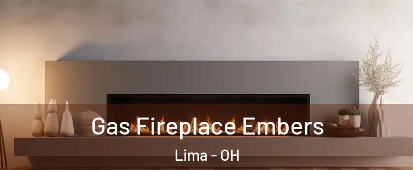  Gas Fireplace Embers Lima - OH