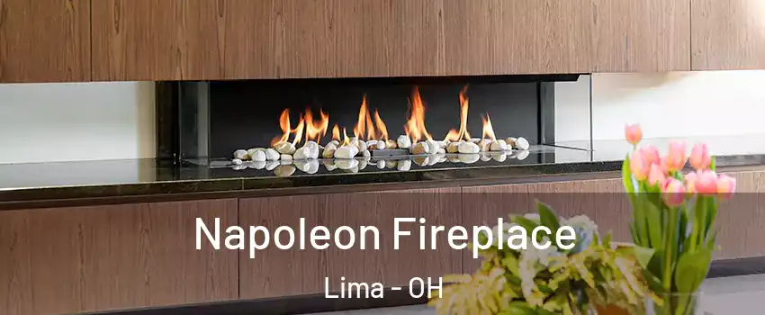  Napoleon Fireplace Lima - OH